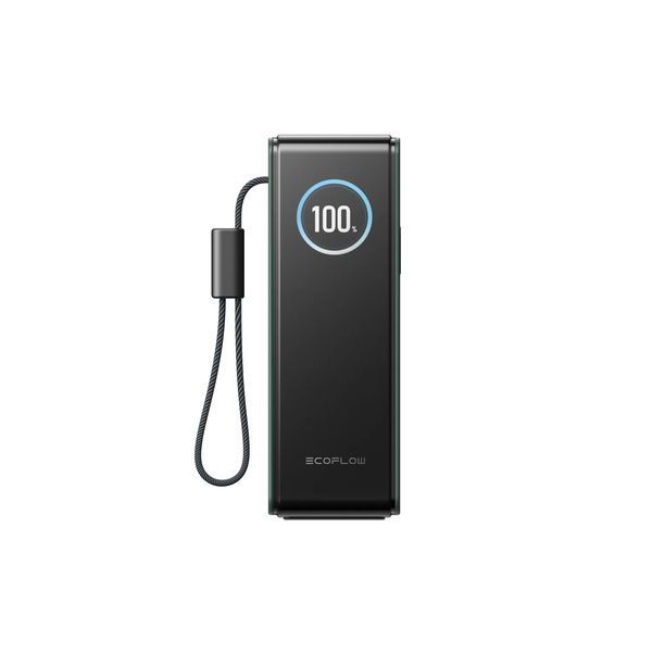 Павербанк EcoFlow RAPID Power Bank с кабелями 25000mAh зеленый EF-RAPID25K100W-G-EU фото