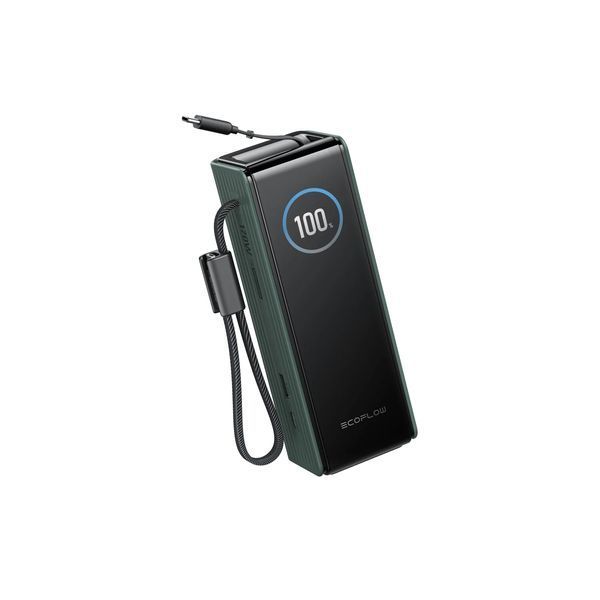 Павербанк EcoFlow RAPID Power Bank с кабелями 25000mAh зеленый EF-RAPID25K100W-G-EU фото