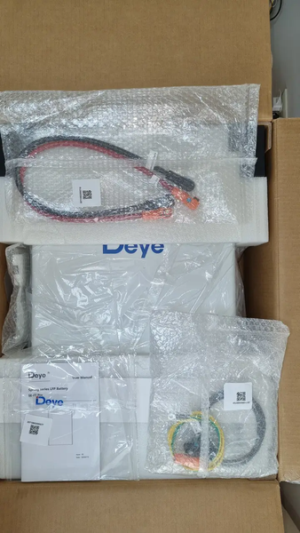 Аккумуляторная батарея Deye SE-F5 Pro-L (LiFePO4 51,2V 100Ah) SEF5512100512 фото