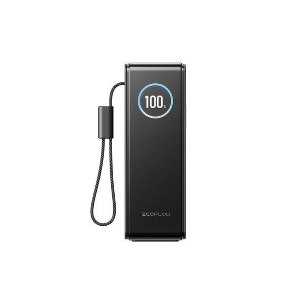 Павербанк EcoFlow RAPID Power Bank з кабелями 25000mAh сріблястий EF-RAPID25K100W-S-EU фото