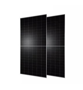 PV модуль Tongwei Solar TWMNH-66HD620 620 Wp N-type Bifacial 66HD620620 фото