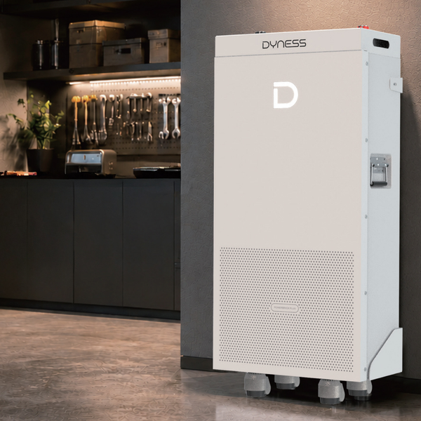 Акумуляторний модуль Dyness PowerBrick Plus LiFePO4 51,2V/314Ah (16080W*h) LiFePo4 2528332873 фото